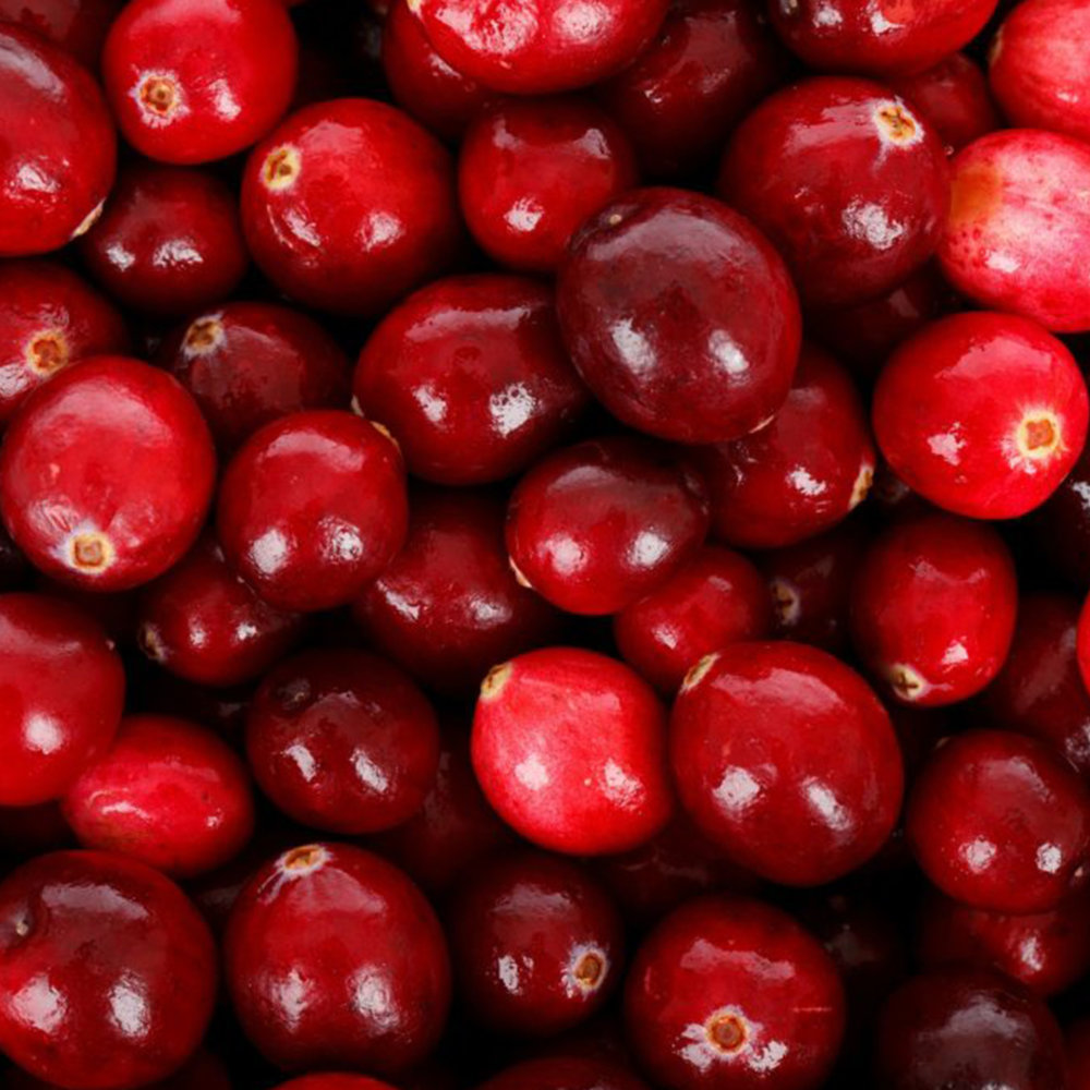 Cranberry gegen Harnwegsinfekte