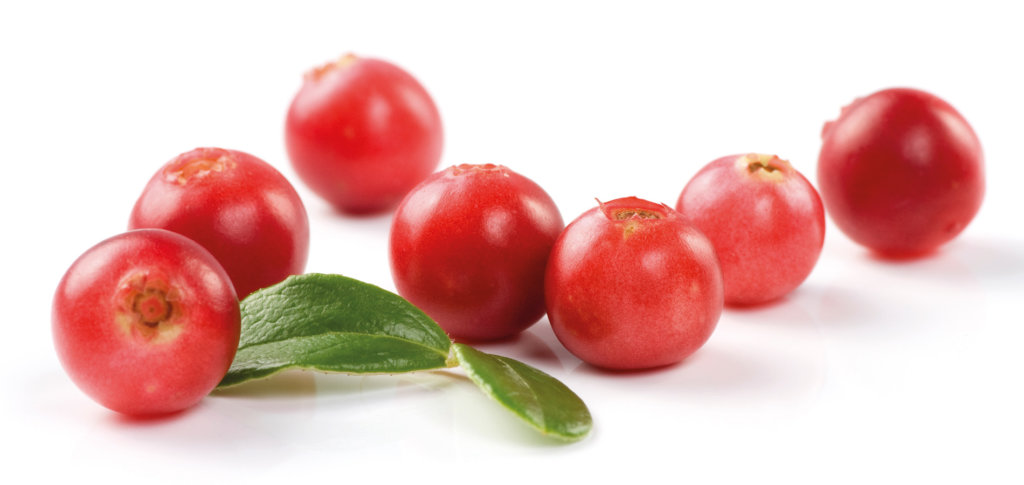 Hausapotheke Natur - Cranberry